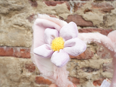 リーナベルの耳（左）