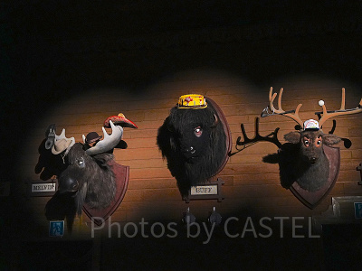 マックス/バフ/メルビン