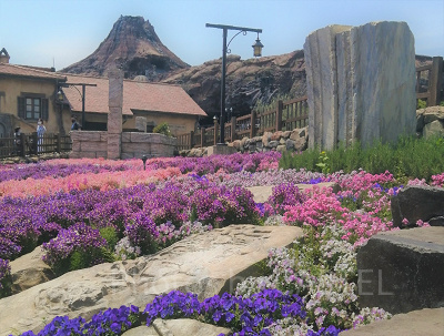 メディテレーニアンハーバー：お花畑