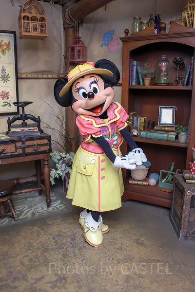 ミッキー＆フレンズ・グリーティングトレイル(ミニー)