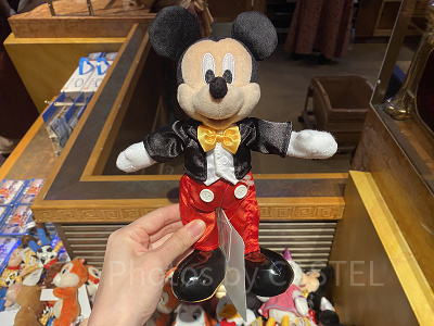 ミッキーポージープラッシー