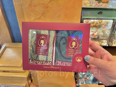 ミニタオルセット(アナとエルサのフローズンジャーニーグッズ)