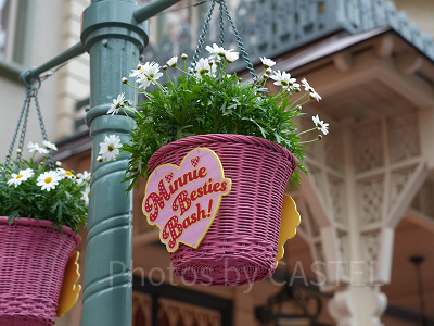 ミニー・ベスティーズ・バッシュ：吊植木鉢