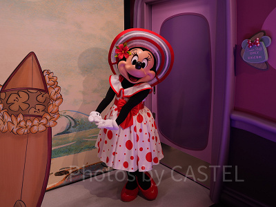 ミニーのスタイルスタジオ