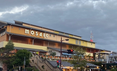 MOSAICの様子