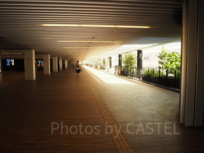 名古屋金城ふ頭駐車場