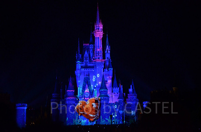 ニモとマーリンの家族愛