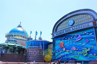 ニモ＆フレンズ・シーライダー