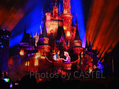 Reach for the Stars（リーチフォーザスターズ）