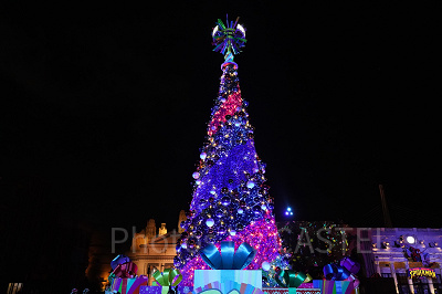 NO LIMIT!ツリー（夜）