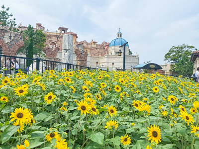 GoToトラベルで日帰りディズニー