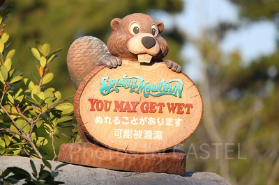 おひとり様は活用必須！