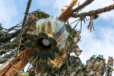 Pandora - The World of Avatar 照明（アニマルキングダム・昼） 設定：22㎜ SS1/500 F5.0 ISO100