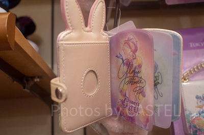 パスケース（開いたところ）