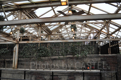 キャッスルウォーク入り口までの通路