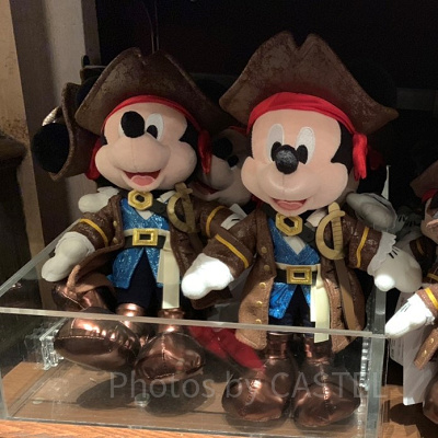 海賊ミッキー！とにかくカッコイイです！