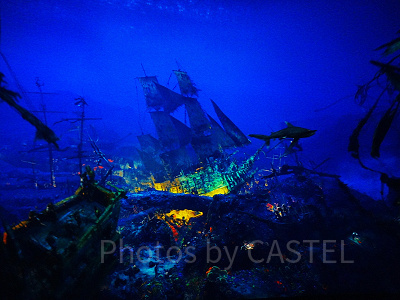 カリブの海賊：バトル・フォー・ザ・サンケン・トレジャー