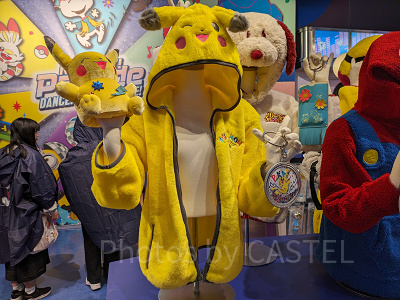 ポケモンの冬アイテム／USJ