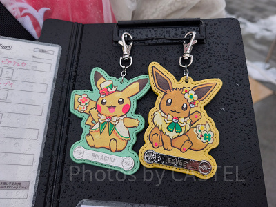 ポケパークカントーグッズ/ピカチュウ＆イーブイのキーホルダー