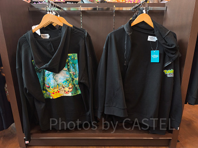 ポケパークカントー/パーカー