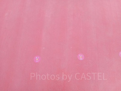 プレミアアクセス鑑賞位置の目印