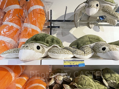 リアルアオウミガメぬいぐるみ