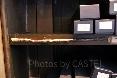 アシ（10/28～11/24）