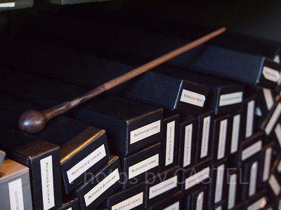 リーマス・ルーピンの杖