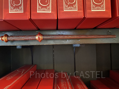 サクラとユニコーンのたてがみの杖