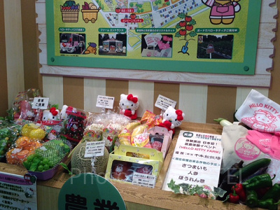 サンリオエキスポ展示　農業