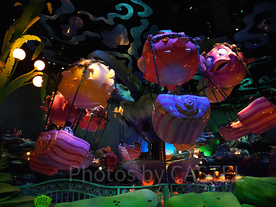 ブローフィッシュ・バルーンレースは怖い？