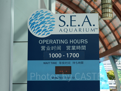 シーアクアリウム：営業時間