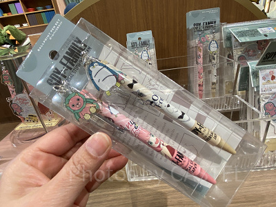 ボールペン２本セット