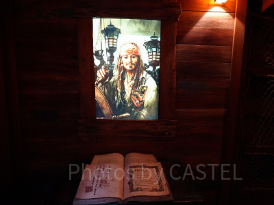 個人手配で上海ディズニーランド