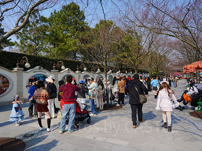 上海ディズニーランド：ガーデン・オブ・ザ・トゥエルブ・フレンズ