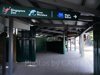 シンガポール3大動物園：1日で回れる？