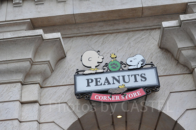 スヌーピーとチャーリーブラウン