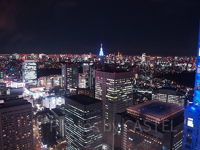 東京タワーも見える南方面