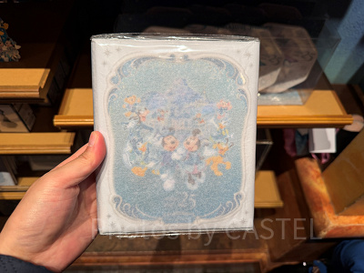 スーベニアメダルブック(ディズニーシー25周年グッズ)