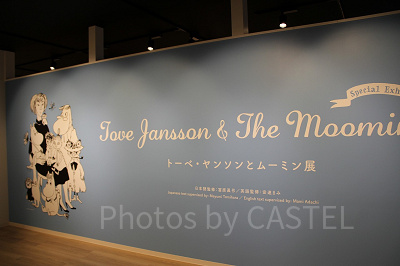 コケムスでは企画展も開催