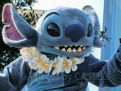 リロ＆スティッチキャラクター】いとこがたくさん？彼女エンジェルも