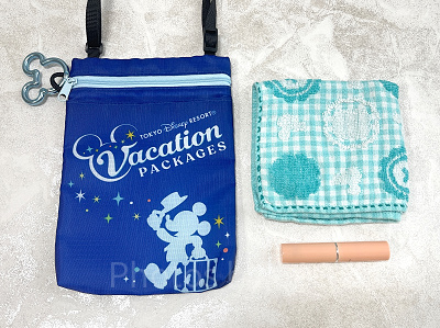 ディズニー】バケーションパッケージのチケットホルダーがショルダー