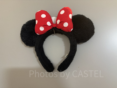 フックで固定した収納方法