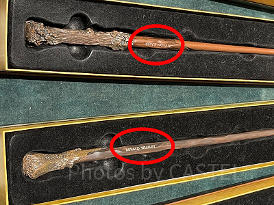 文字入れされたスタジオツアー東京の杖