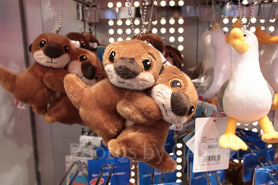 2019】シーライダーグッズ30選！ニモ＆フレンズのイヤーハット、トミカ