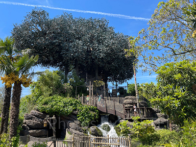 スイスファミリー・ツリーハウス(ディズニーランド・パリ)