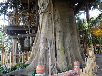 スイスファミリー・ツリーハウス：大木の幹