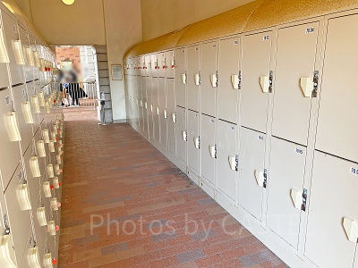 ディズニーのロッカー