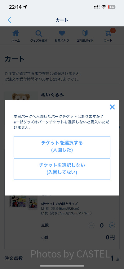 チケットの選択画面