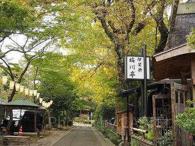上野公園の紅葉はとっても綺麗ですよ！